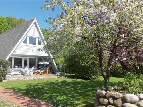 Feriehus - 5 personer -  - 24351 - Damp