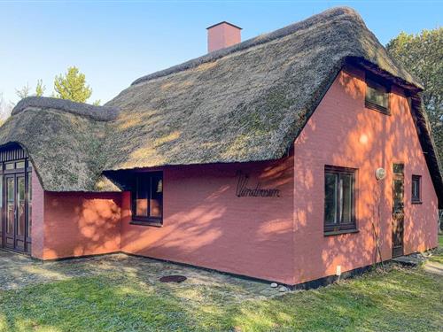 Sommerhus - 4 personer -  - Havbjerge - Vedersø Klit - 6990 - Ulfborg