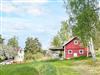 Bild 11 - Aktivitet