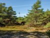 Bild 21 - Område