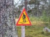 Bilde 21 - Inne