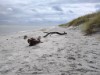 Bild 31 - Utsikt över vatten