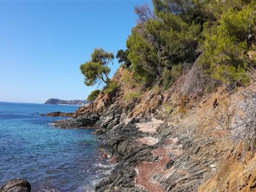 Holiday Home/Apartment - 4 persons -  - 83240 - Cavalaire Sur Mer