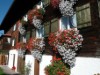 Bilde 4