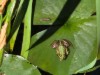 Bild 17