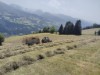 Billede 19