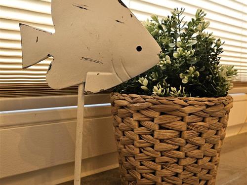 Ferielejlighed - 3 personer -  - Süderloog - 26474 - Spiekeroog