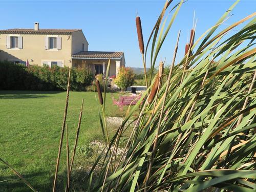 Feriehus - 2 personer -  - 1579 - 84220 - Cabbrières D'avignon