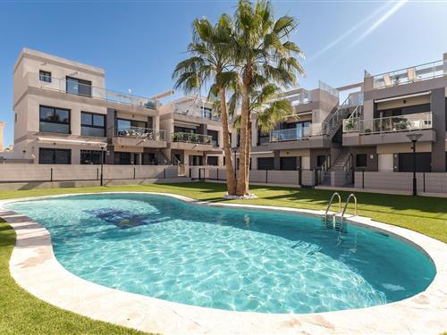 Ferielejlighed - 6 personer -  - C/ Severo Ochoa,Apt. - 03183 - Torrevieja