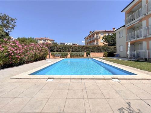 Holiday Home/Apartment - 6 persons -  - Carla D'Ambrosia - 52466 - Stancija Vinjeri Novigrad