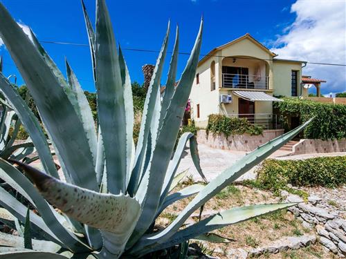 Ferielejlighed - 2 personer -  - Sali VII - 23281 - Sali