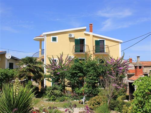 Holiday apartment - 4 persons -  - Ulica IX - 23271 - Kukljica