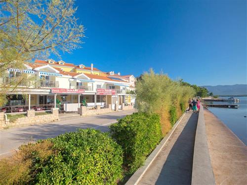 Ferielejlighed - 5 personer -  - Cižici - 51514 - Dobrinj