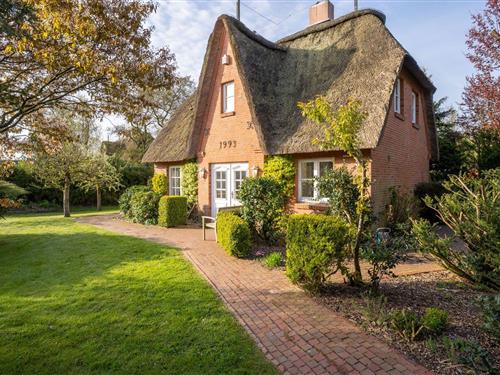 Sommerhus - 6 personer -  - Friesenstraße - 25826 - St. Peter-Ording