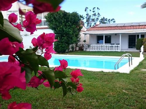 Sommerhus - 5 personer -  - 35100 - Playa Del Ingles