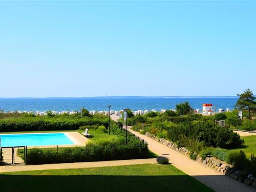 Ferielejlighed - 3 personer -  - Eichenhain - 23730 - Pelzerhaken