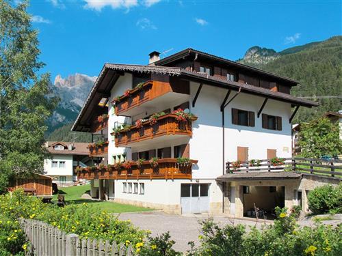 Ferienwohnung - 8 Personen -  - Campitello - 38030