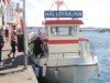 Billede 6