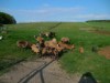 Bild 20 - Ude