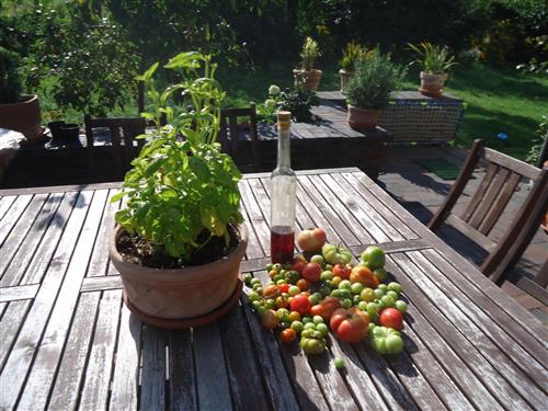 Holiday apartment - 4 persons -  - Przyjazn - 83-331