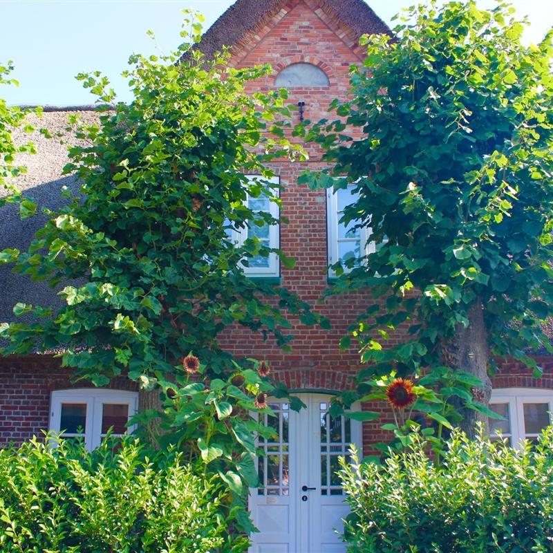 Sommerhus - 5 personer -  - Holm - 25938 - Wyk-Boldixum