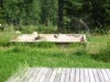 Bild 20 - Inde