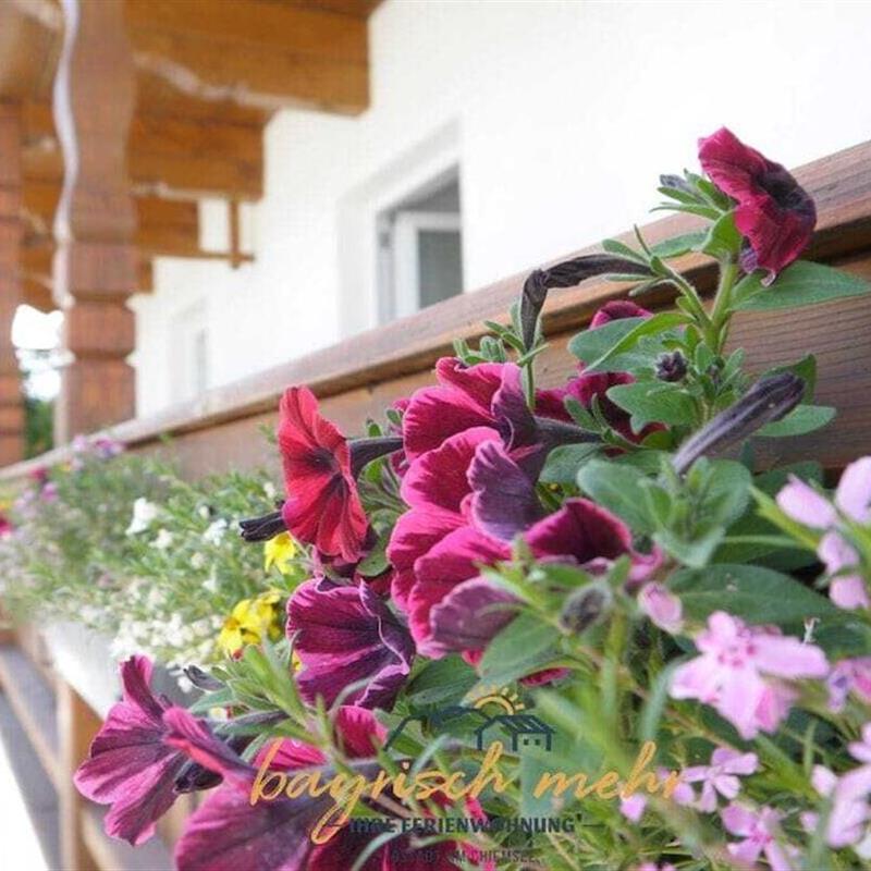 Sommerhus - 4 personer -  - 83257 - Gstadt