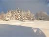Bild 48