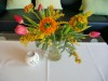 Bild 20