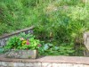 Bild 43 - Aussen