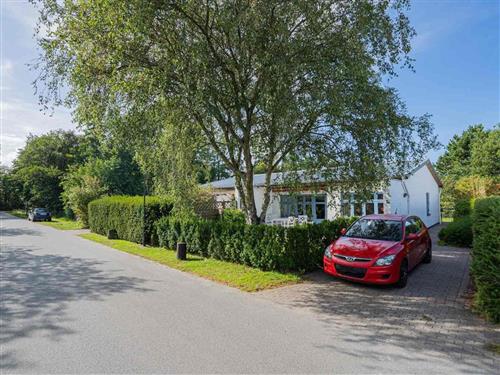 Ferienhaus - 6 Personen -  - Birkenweg - 25826 - St. Peter-Ording