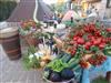 Bild 14 - Aussen