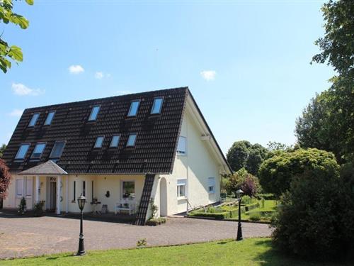 Sommerhus - 4 personer -  - Steinstr. - 53945 - Blankenheim