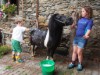 Bild 10