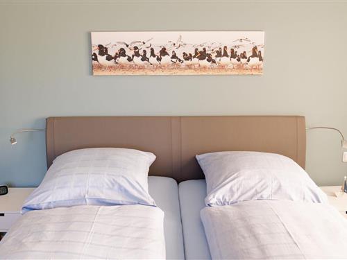 Ferielejlighed - 2 personer -  - Sanghughwai - 25946 - Nebel