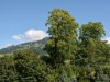 Bild 11 - Ude