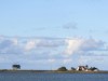 Billede 11