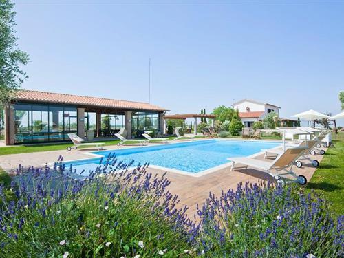 Ferienhaus - 14 Personen -  - Strada del Formiconcino - Tuscania - 01017 - Tuscania Vt