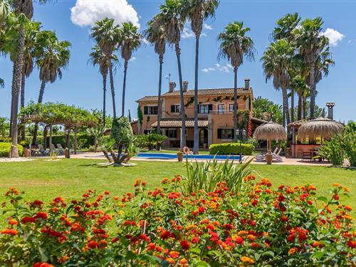 Holiday home - 8 persons -  - Diseminado Poligono - Mil Flores, Inca - 07300 - Inca