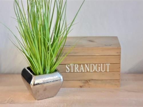 Ferieleilighet - 4 personer -  - Steinwarder - 23774 - Heiligenhafen