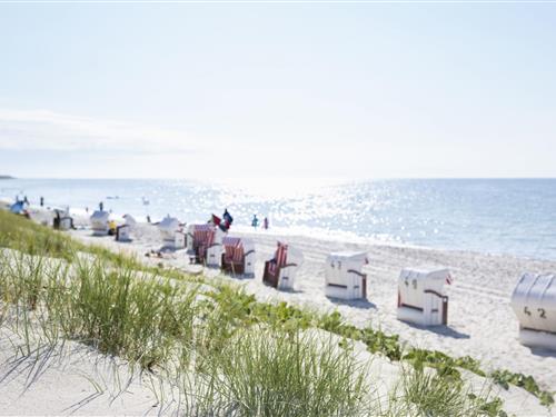 Ferielejlighed - 2 personer -  - Birkenallee - 18347 - Dierhagen