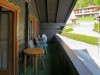 Image 15 - Outside