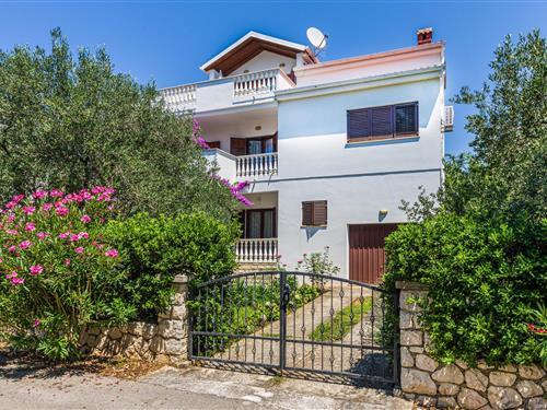 Holiday Home/Apartment - 4 persons -  - Ulica X - Zadar - Petrcane - 23231 - Petrcane