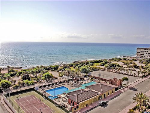 Ferielejlighed - 4 personer -  - Torrevieja - 03180