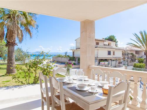 Ferielejlighed - 4 personer -  - 07400 - Port D'alcudia, Illes Bal