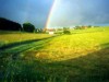 Billede 19