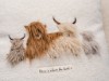 Bild 11 - Ude