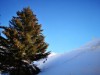 Bild 17