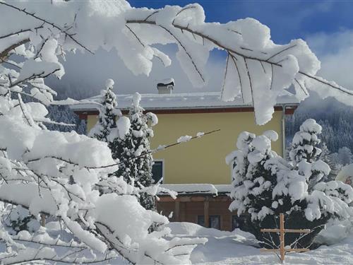 Holiday apartment - 7 persons -  - 5561 - Untertauern