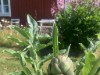 Bild 18 - Aussen